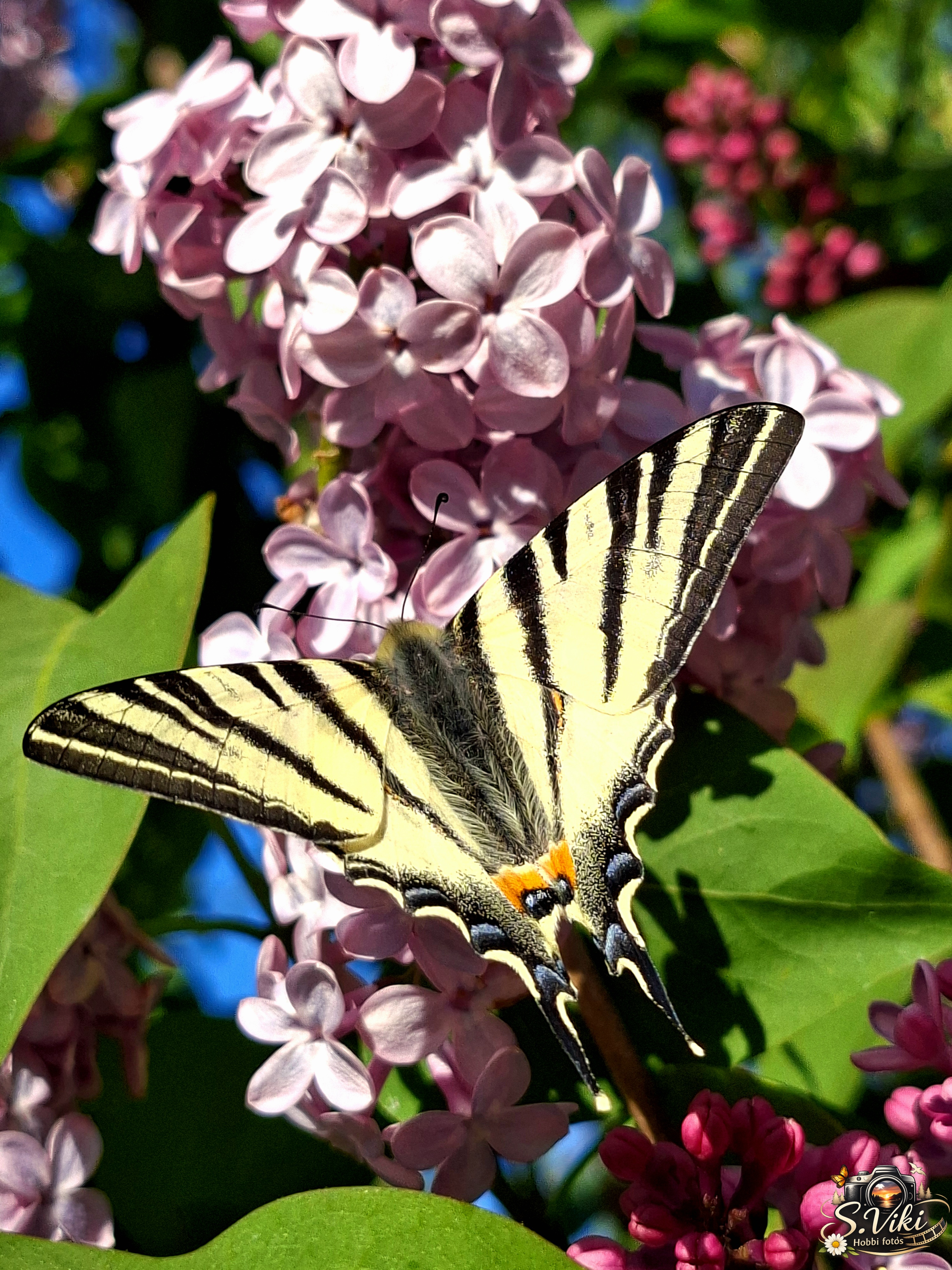 Színek találkozása